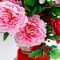Fresh Flowers That Never Fade: The Perfect Flower Arrangements for Chinese New Year
