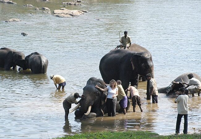 Some Of The Best Places In Thailand To Have An Experience With Elephants