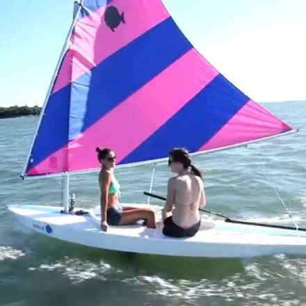 Top Facts You Must Know About Sunfish Sailboat